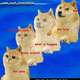 Illustration for article titled We who spoke LOLcat now speak Doge